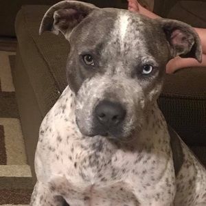 Meet your Posher, Mindy